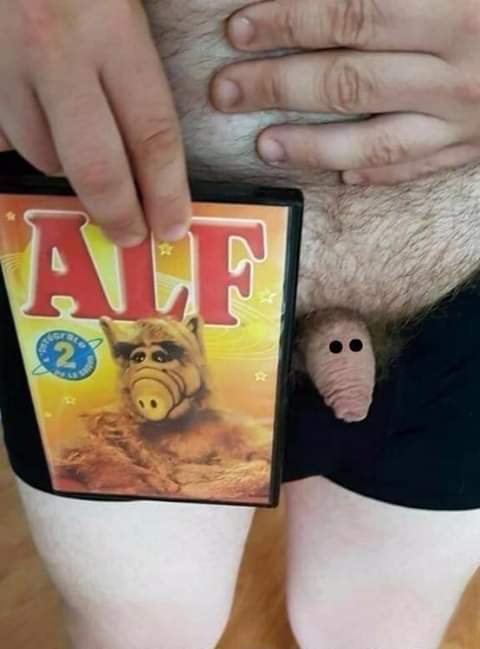 alf.jpg