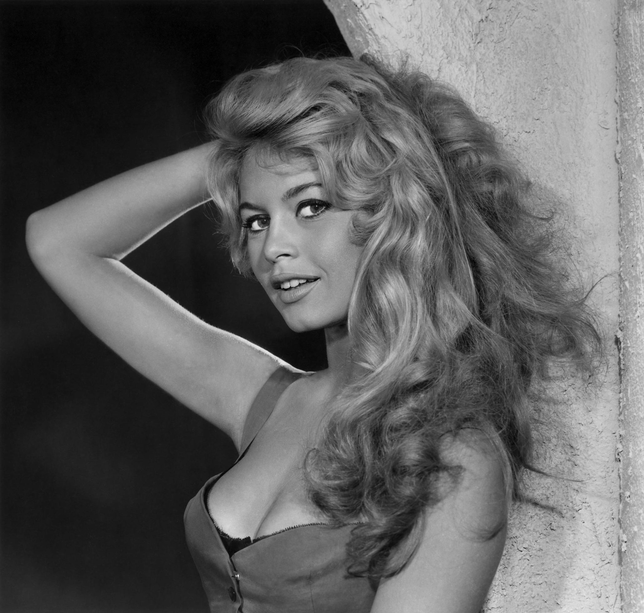 Brigitte Bardot 00 Yousuf-Karsh-Brigitte-Bardot-1958-2059x1960.jpg