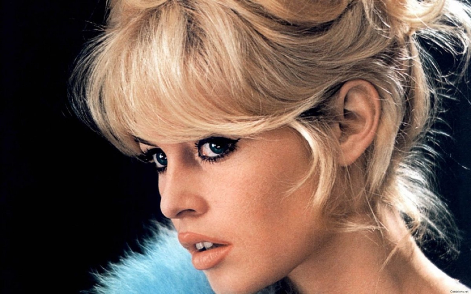 Brigitte Bardot 011-1920x1200-e1526869574961.jpg