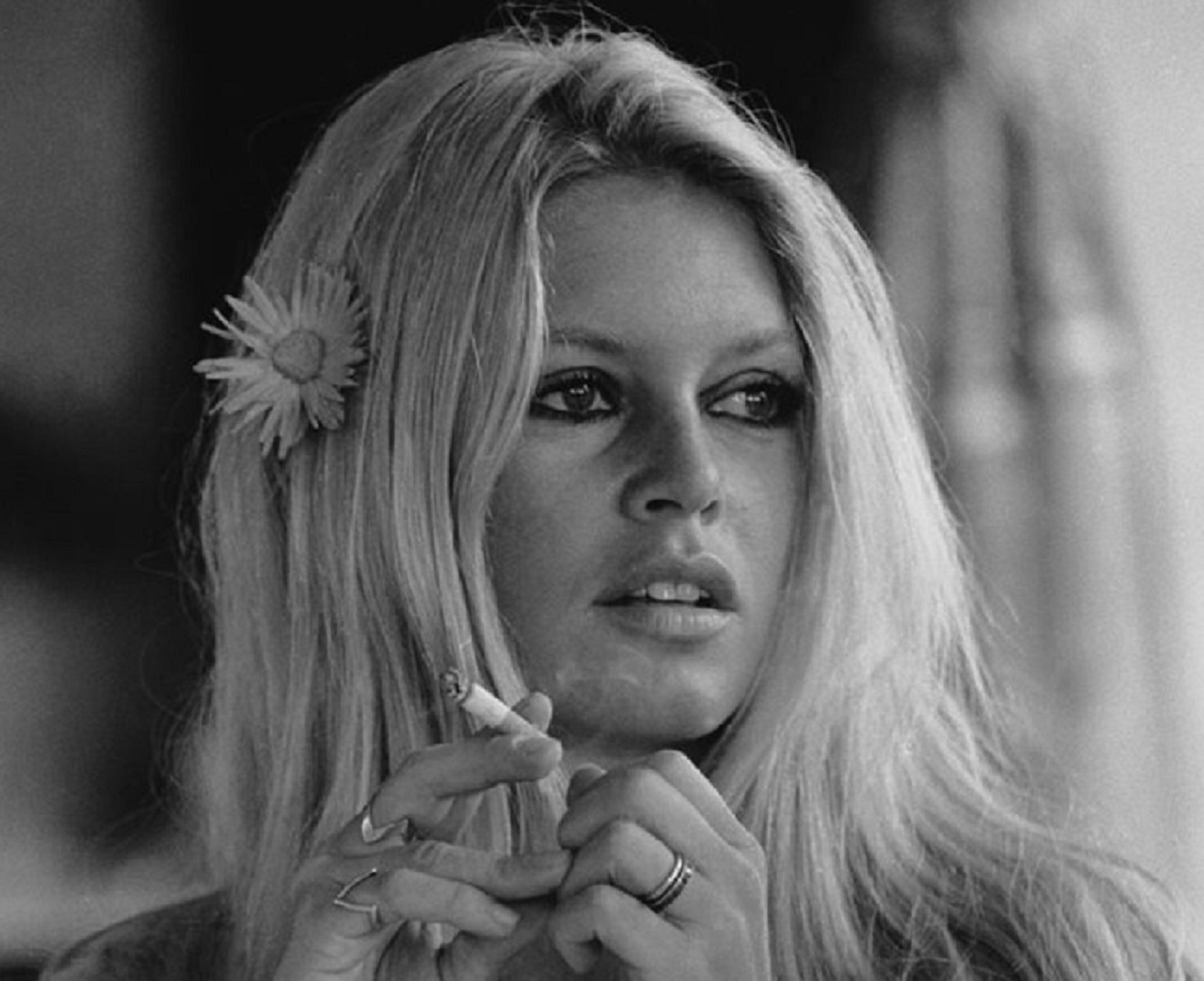 Brigitte Bardot 1678002980313551896.jpg