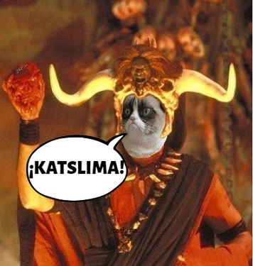 CATSLIMA_.jpg