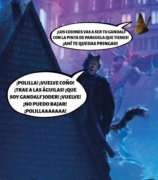 Gandalf Gato y la Polilla_.jpg