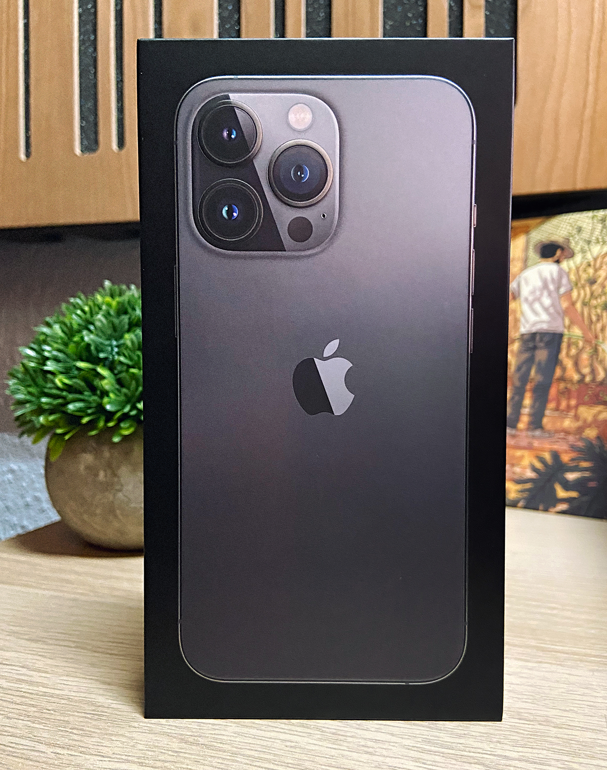 iPhone13Pro.jpg