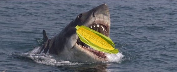 Jaws_01.jpg