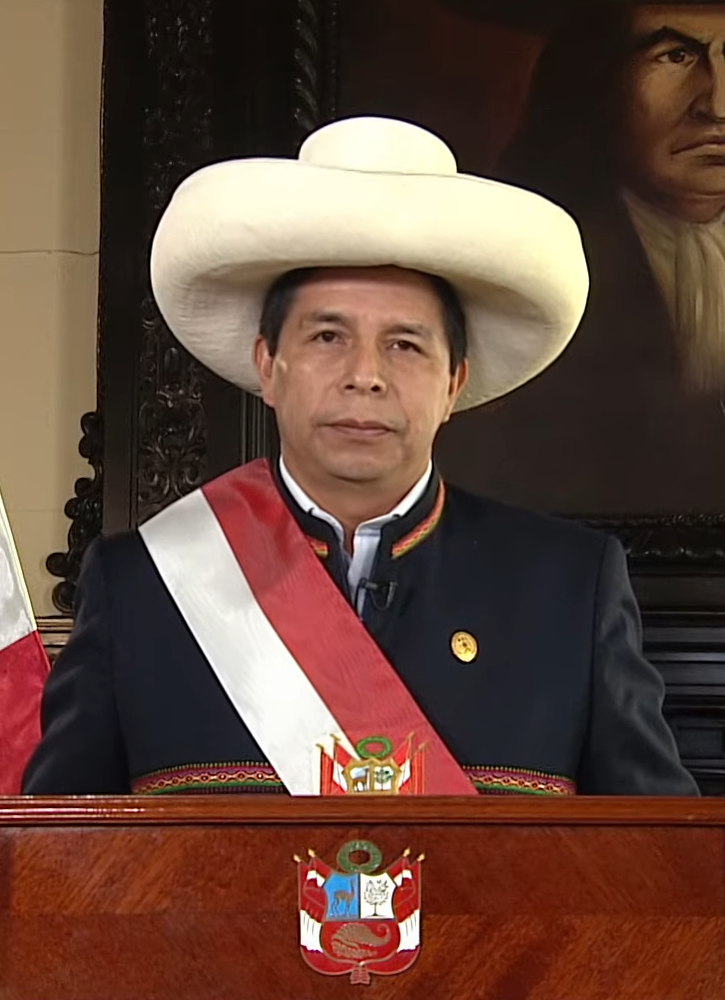 Mensaje_a_la_Nación_-_Pedro_Castillo_(cropped).png