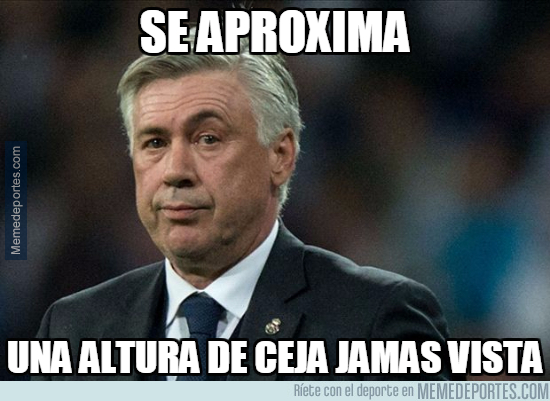 MMD_1001189_ac40000f31c14ad0b95730891c560862_futbol_la_ceja_de_ancelotti.jpg