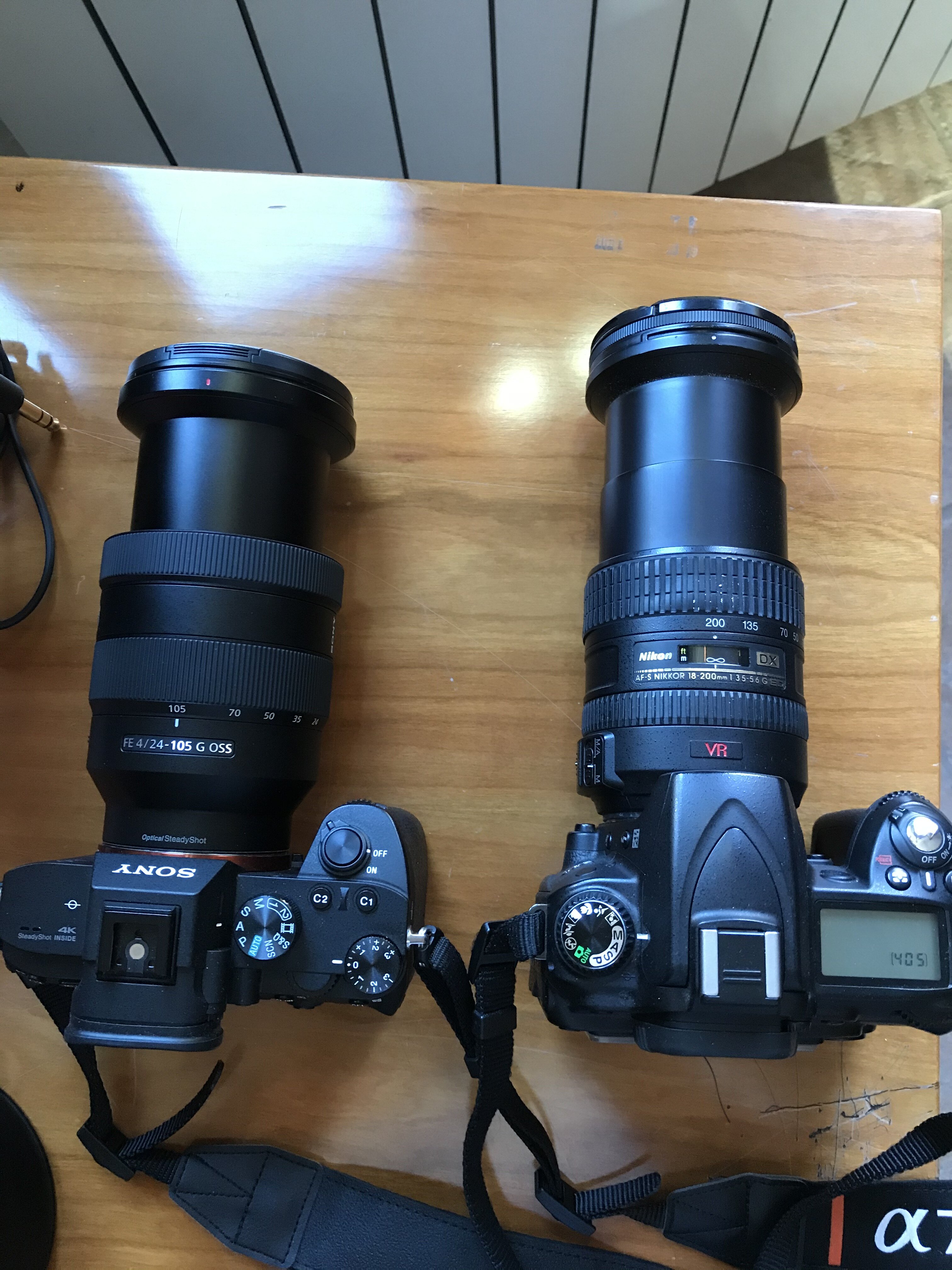 nikon d90 vs sony A73.jpg