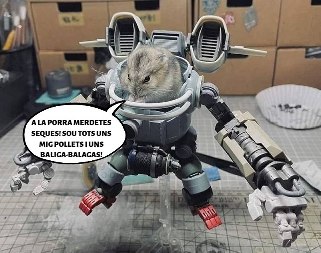 Ratolí Robot.jpg