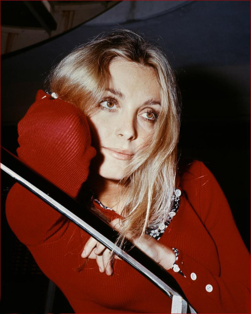 SHARON TATE tumblr_nyt7e46fza1tqrjeoo1_500.jpg