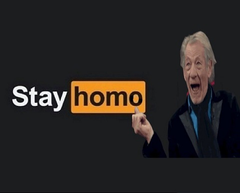 Stay Homo.jpg