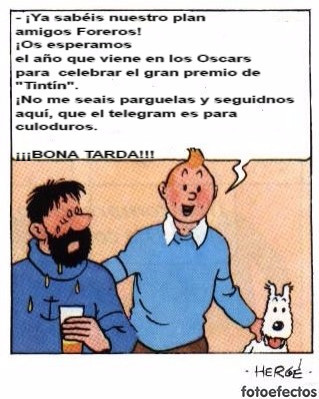 Tintin05.jpg