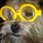 Alf101